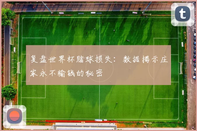 复盘世界杯赌球损失:数据揭示庄家永不输钱的秘密