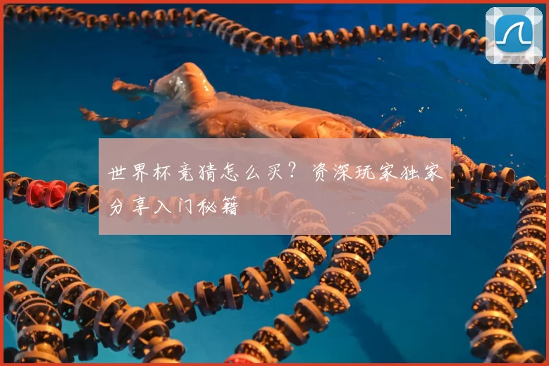 世界杯竞猜怎么买？资深玩家独家分享入门秘籍