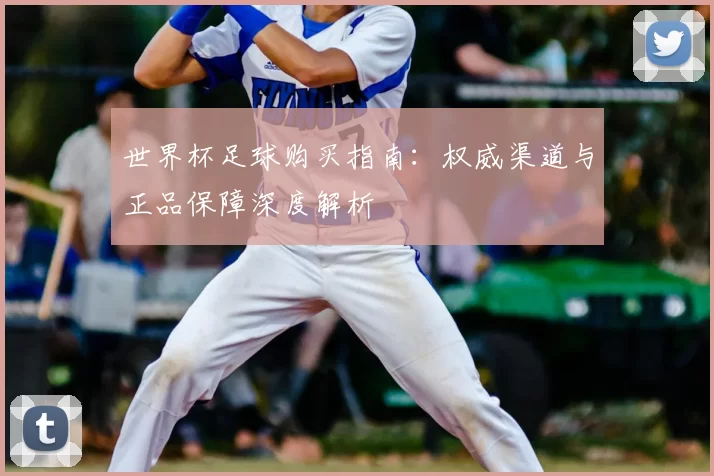 世界杯足球购买指南:权威渠道与正品保障深度解析