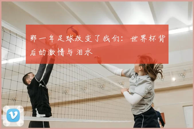 那一年足球改变了我们：世界杯背后的激情与泪水