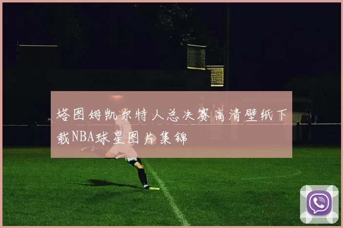 塔图姆凯尔特人总决赛高清壁纸下载NBA球星图片集锦