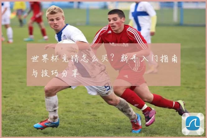 世界杯竞猜怎么买?新手入门指南与技巧分享