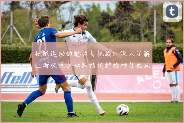 极限运动的魅力与挑战：深入了解上海极限运动队的拼搏精神与成就