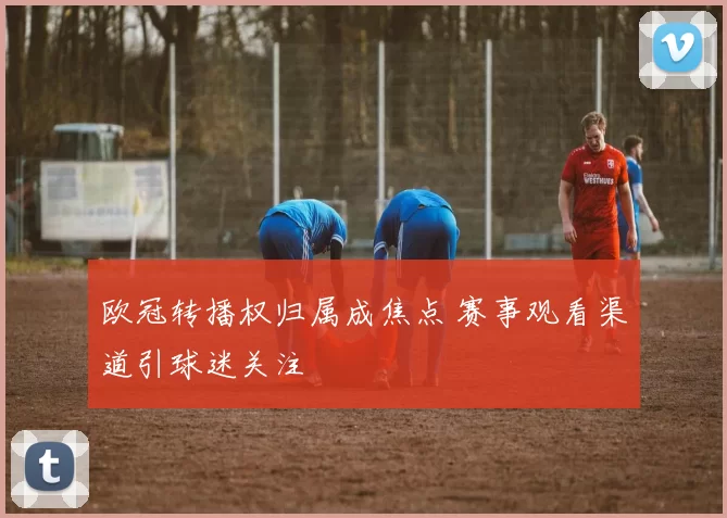 欧冠转播权归属成焦点 赛事观看渠道引球迷关注