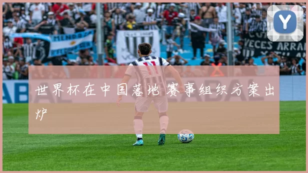 世界杯在中国落地 赛事组织方案出炉