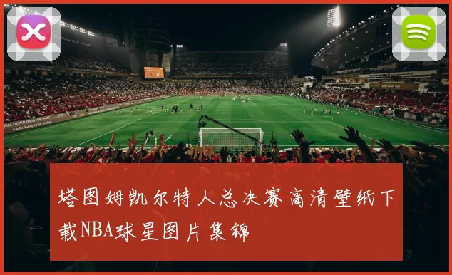 塔图姆凯尔特人总决赛高清壁纸下载NBA球星图片集锦