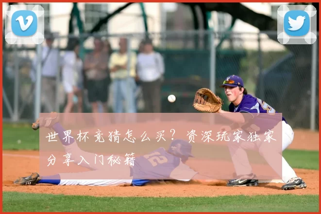 世界杯竞猜怎么买?资深玩家独家分享入门秘籍