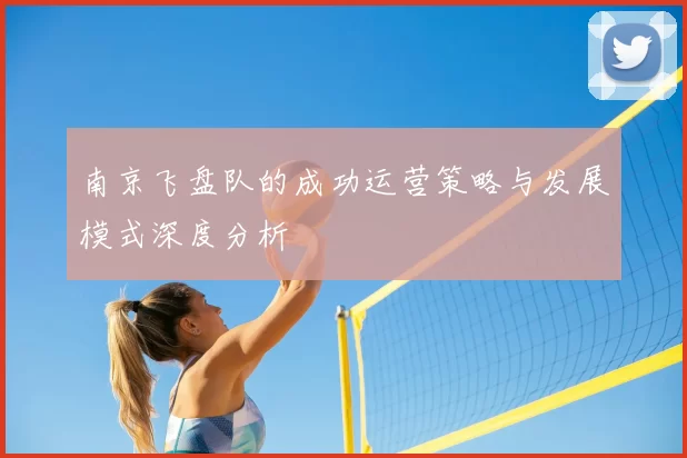 南京飞盘队的成功运营策略与发展模式深度分析