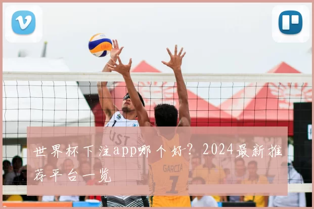 世界杯下注app哪个好?2024最新推荐平台一览