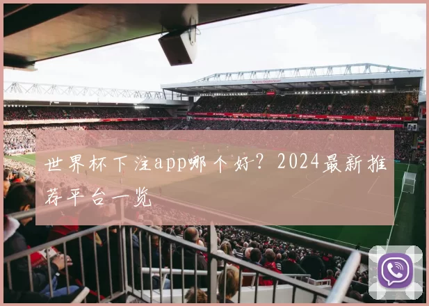 世界杯下注app哪个好？2024最新推荐平台一览