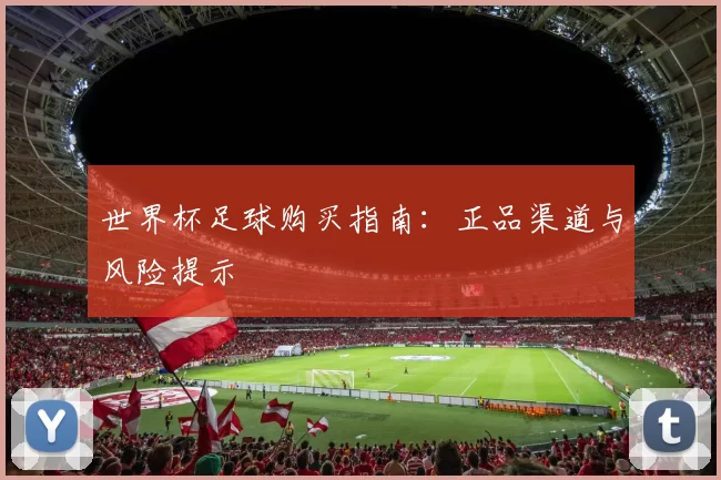 世界杯足球购买指南:正品渠道与风险提示