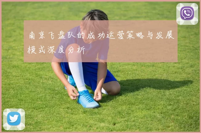 南京飞盘队的成功运营策略与发展模式深度分析