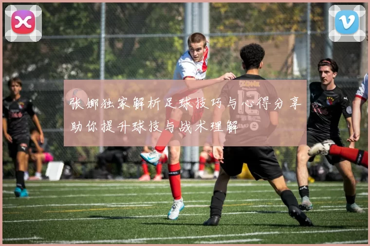 张娜独家解析足球技巧与心得分享助你提升球技与战术理解